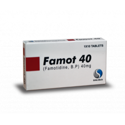 FAMOT 40mg Tablet 10s