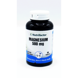 Magnesium Tab 500mg 60s