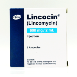 Lincocin Inj 600mg 5Ampx2ml