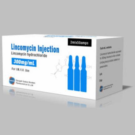 Lincomycin Injection 300 mg 5 Ampx1 mL