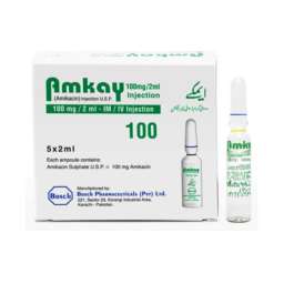Amkay Injection 100 mg 5 Ampx2 mL