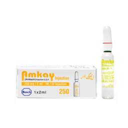 Amkay Injection 250 mg 1 Ampx2 mL