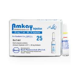 Amkay Injection 25 mg 5 Ampx1 mL