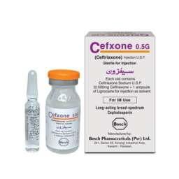 Cefxone Injection IM 500 mg 1 Vial