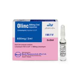 Olinc Injection 600 mg 5 Ampx2 mL