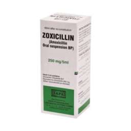 ZOXICILLIN 250mg|5ml Suspension 60ml