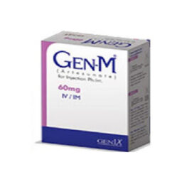 Gen-M Inj Injection 60 mg 1 Amp