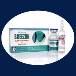 Breezon Injection IV 1 gm 1 Vial