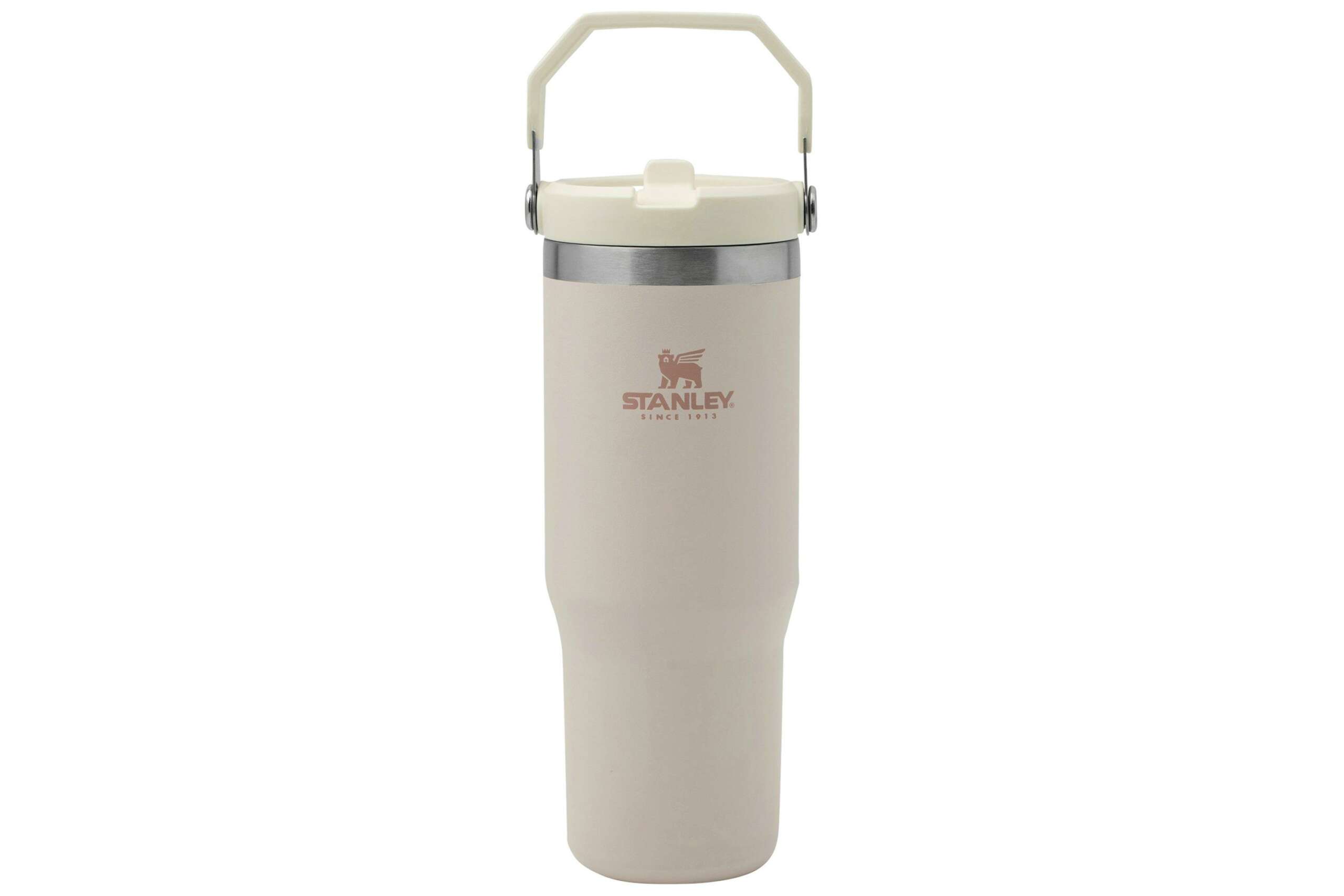 Tumbler Charm Set: Stanley Cup-Inspired Accessories for Your Water Bottle  Price in Pakistan 